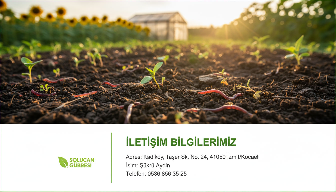 Solucan gübresi slayt görseli 5